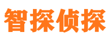 台山市侦探公司